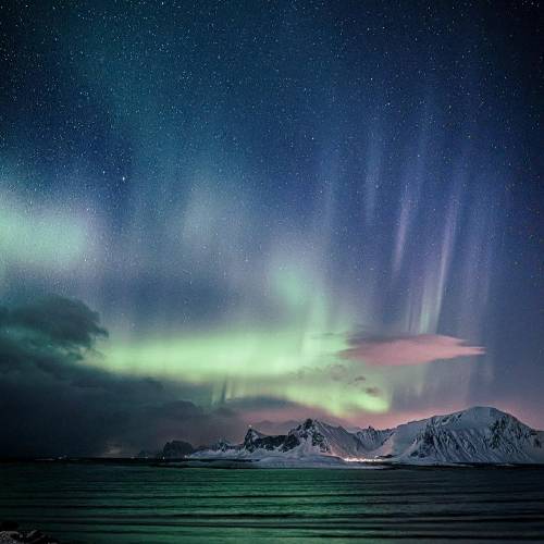 میدونم میشوری میسابی میپزی این همه صبرت به یه سایه می ارزید